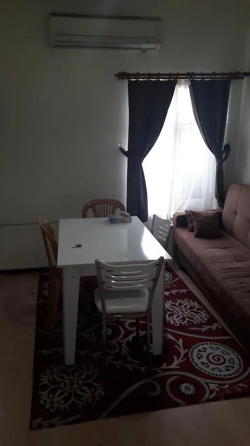 Blue White Apartment Istanbul